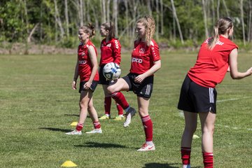 Bild 45 - F SG NieBar - IF Stjernen Flensborg : Ergebnis: 2:0